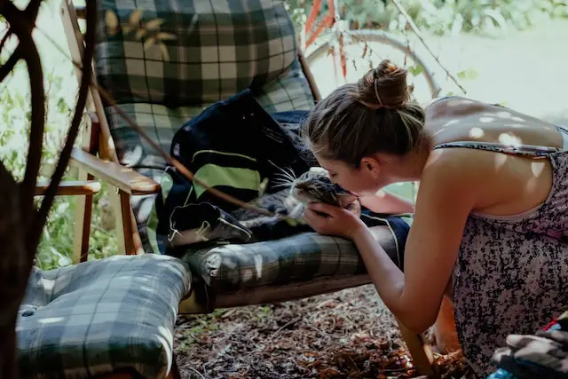 Cats ticklish?  displaying reaction to being tickled