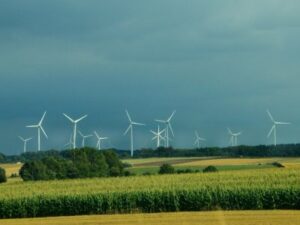 sixty days new turbines now functioning working at crescent wind dairy cows for consumers energy