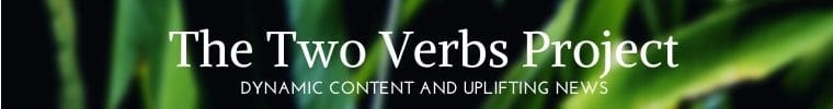 two verbs banner