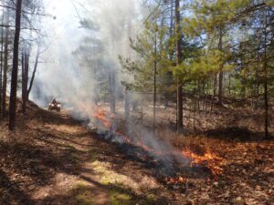 prescribed burn this spring near bass lake in benzie county scaled 1