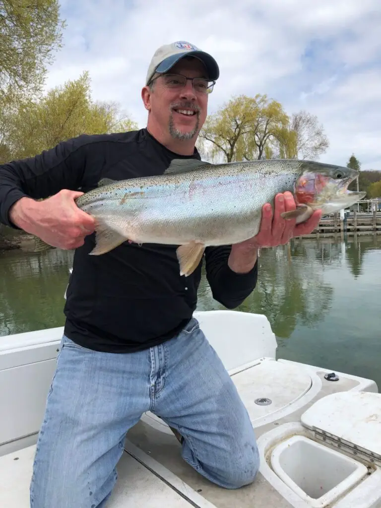 Anglers Are Urged To Turn In Adipose Fin Clipped Fish To The Michigan DNR