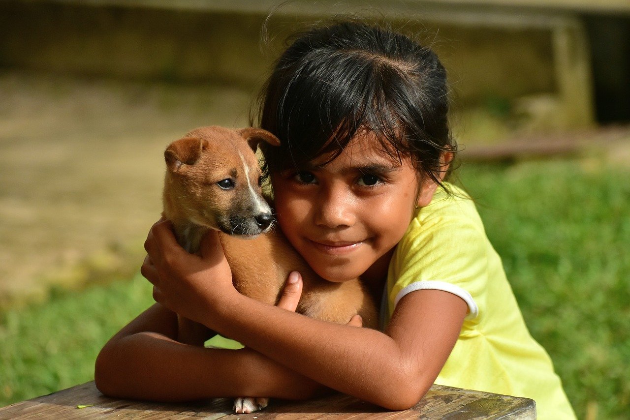 giving a puppy as a gift