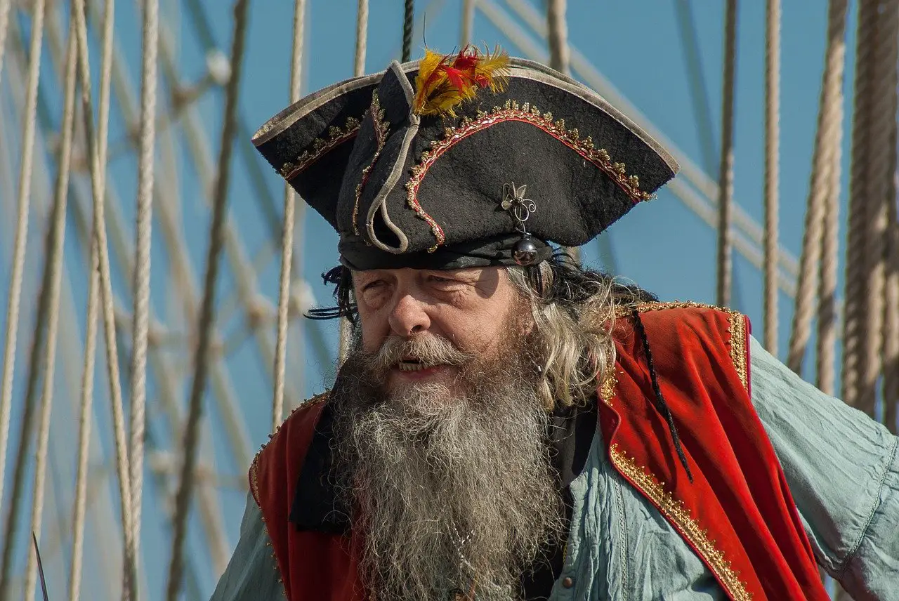 Pirate At Sail