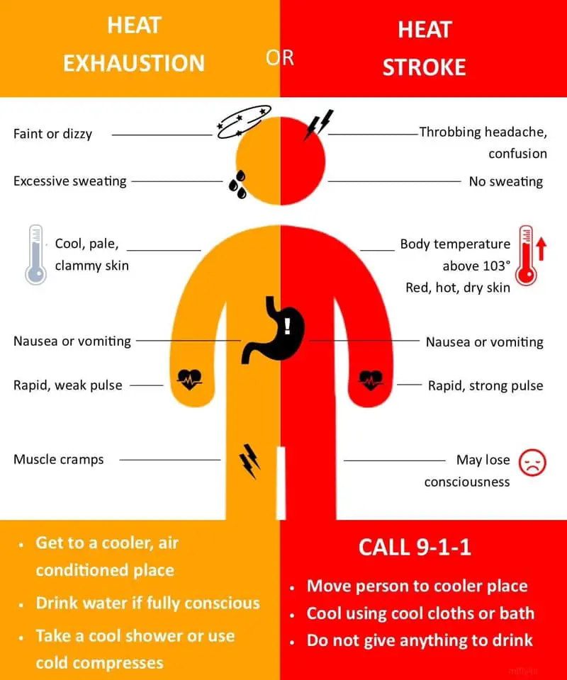 Heat Exhaustion vs. Heat Stroke