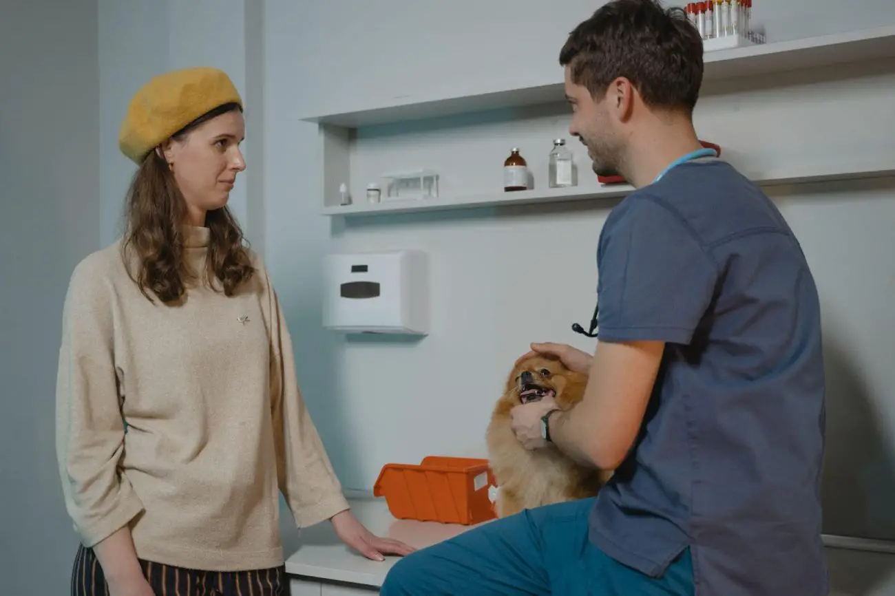 6 Best Tips For Starting A Veterinary Clinic In 2023
