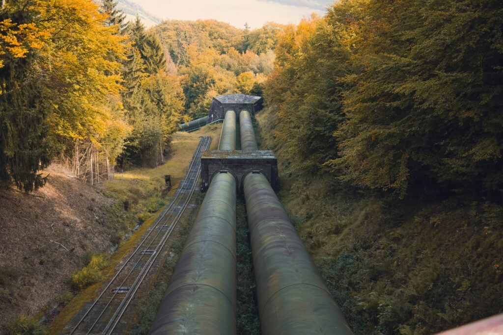 Pipes surrounded by autumn foliage