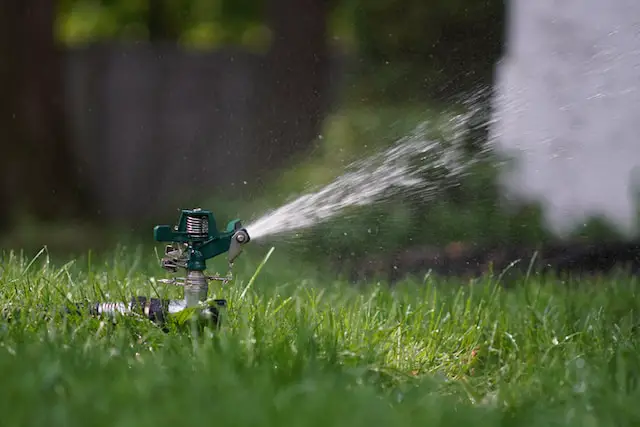 sprinkler - lawn care tips