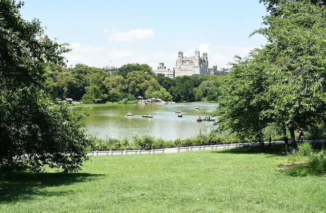 New York Central Park - Dog-friendly destinations 