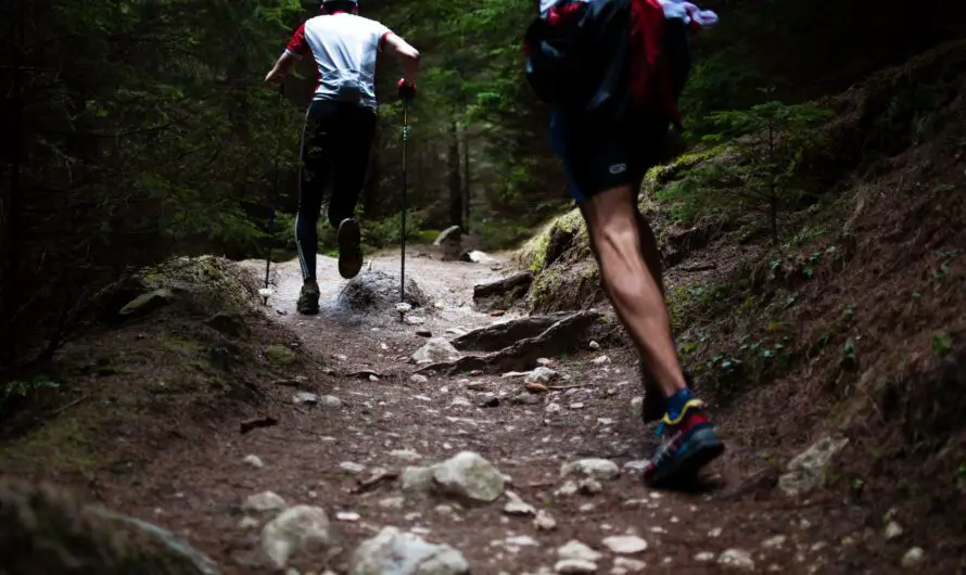How to Choose Running Shoes for Trail Running