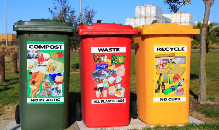 The Importance of Recycling in Singapore in Reducing Waste and Conserving Resources