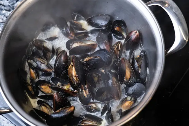 fresh mussels