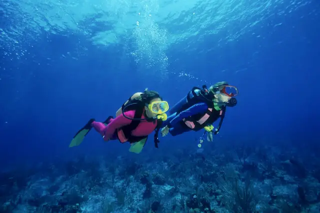 wet suit diving