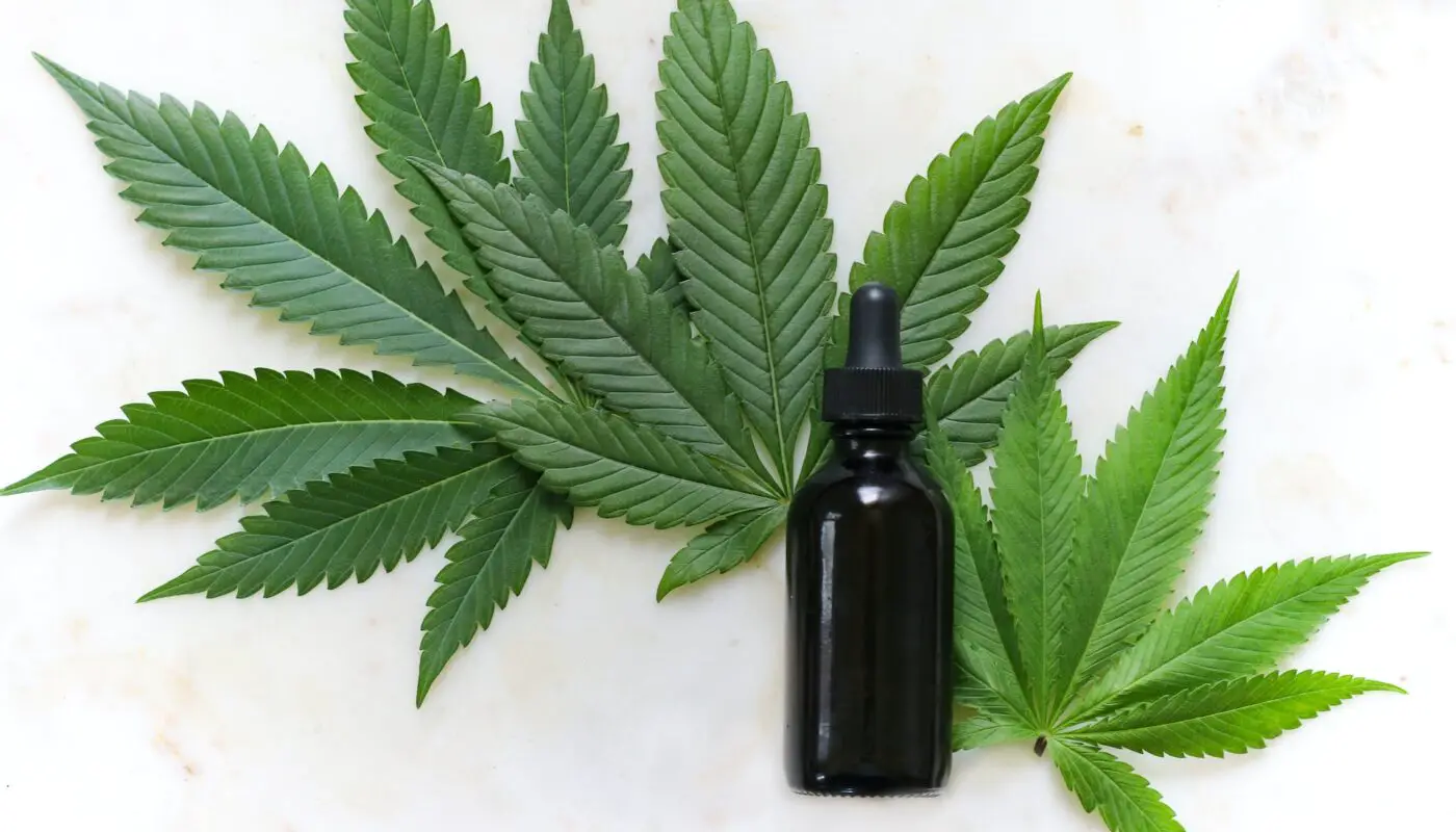 Image of a cannabis leaf, symbolizing the guide to choosing the ideal CBD brand