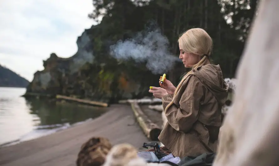 How To Ensure You Get Premium CBD Vape Juice?
