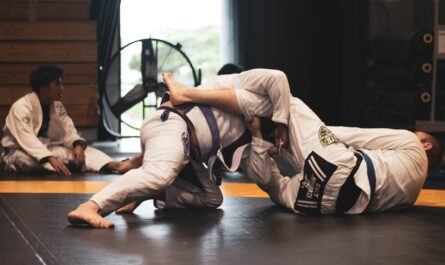 A group of people engaged in a Mixed Martial Arts Class
