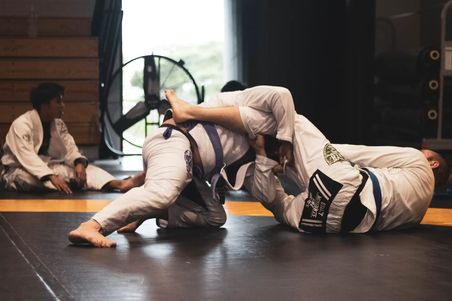 The Ultimate Fusion: Why Mixed Martial Arts Classes Are Taking Center Stage