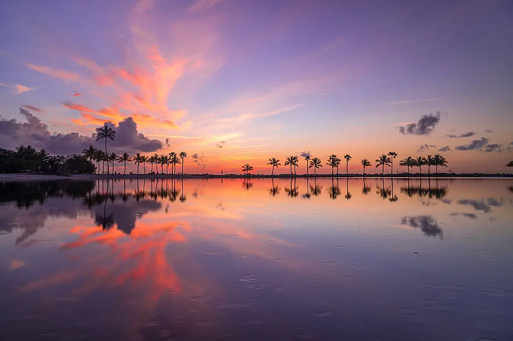 Matheson Hammock Park