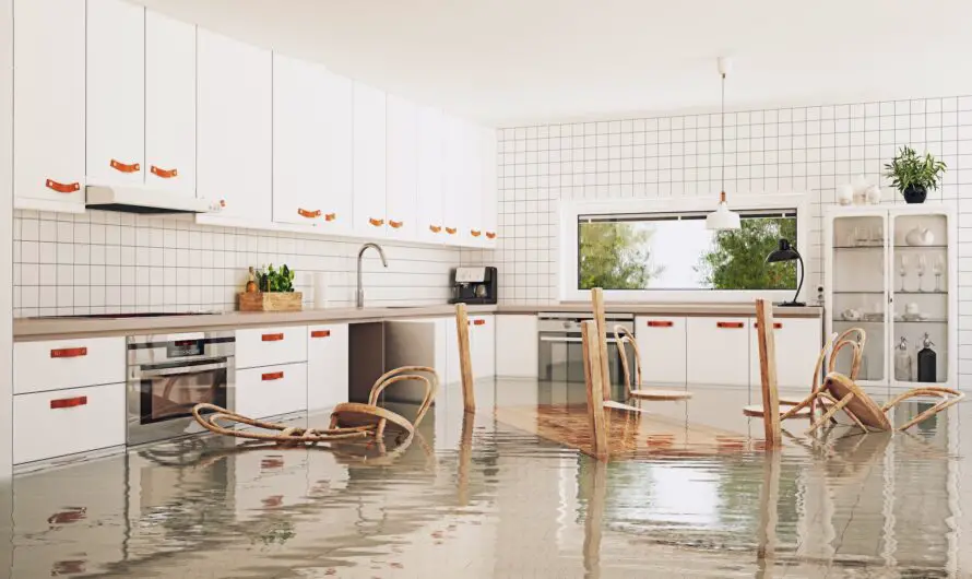 Hidden Water Damage in Homes – 3 Essential Tips for Prevention