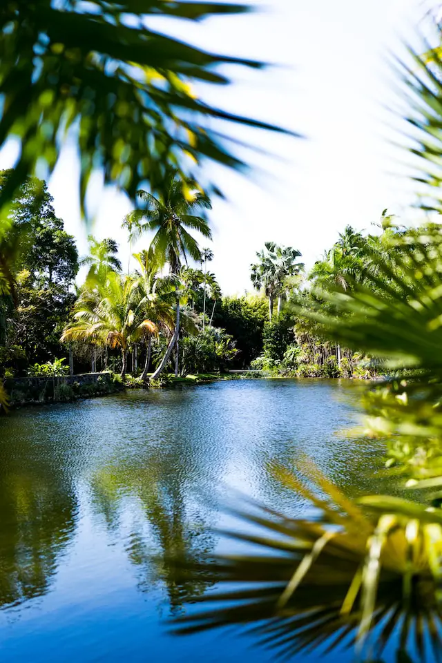 Fairchild Tropical Botanic Garden