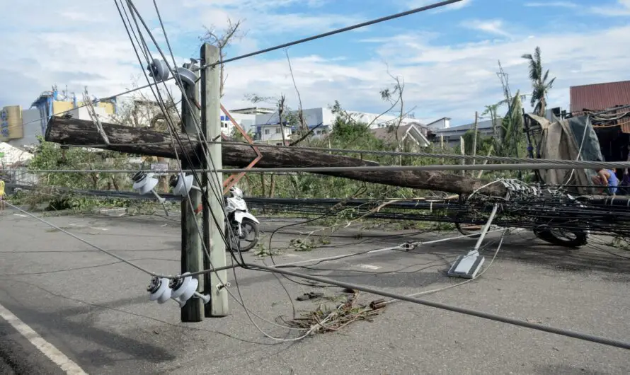Resilience When Surviving Blackouts: Adaptation and Preparedness