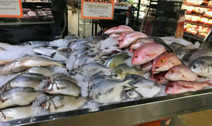 Fresh Fish Shopping – 6 Simple Tips for the Best Seafood