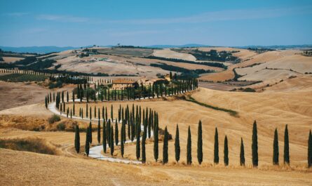 Wedding in Tuscany