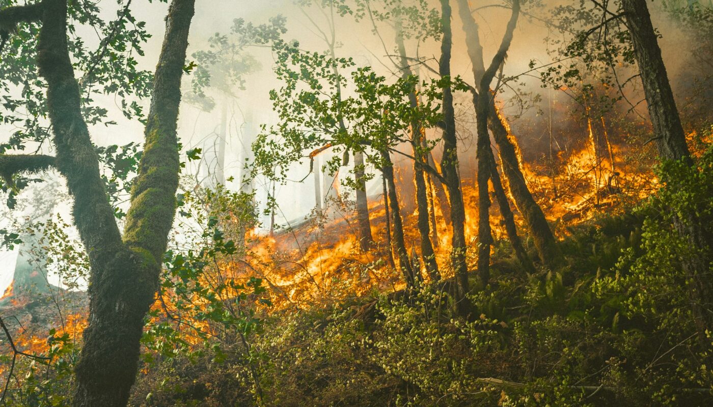 Wildfire Detection to Michigan