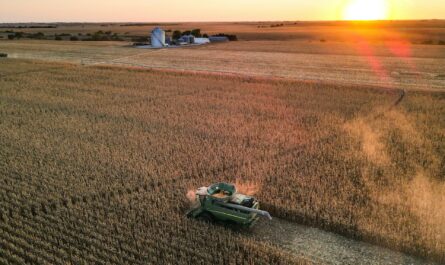 Michigan Corn Harvest